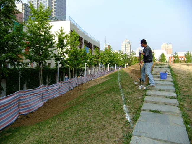 �����h������K���m�ߵؾG������