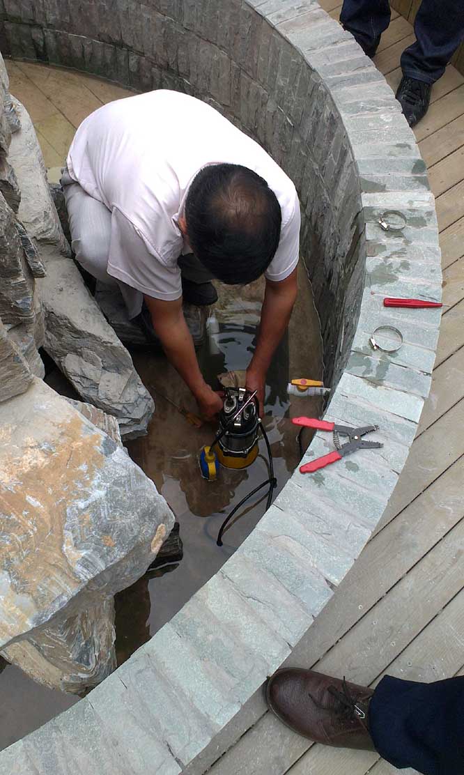 ����˽�һ��@