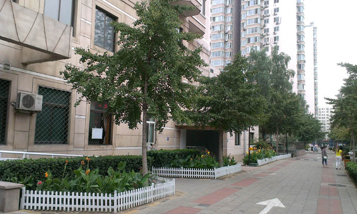 �h���оW��