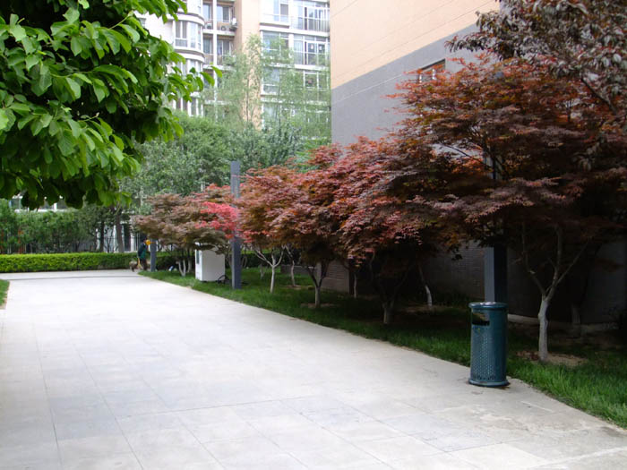 �h���L��