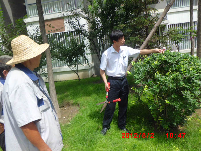 �T����Ӗ���F�����I