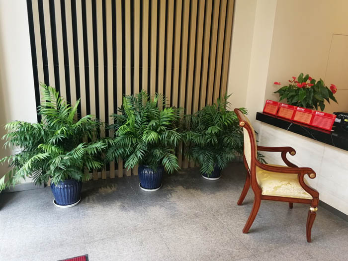 ����˹С悻�����[