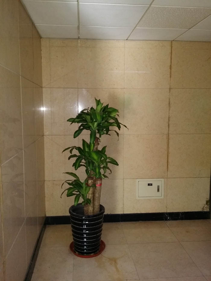 �r(sh��)��֮����Է������[