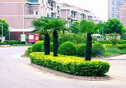 С�^�G������