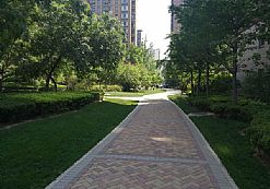 С�^�G���B�o