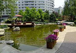 �����ߠ���Ԣ