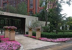 �ׄ���������