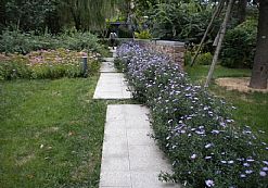 �f(w��n)�Ƴ�