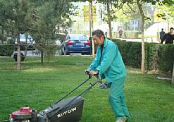 �T���F�����I