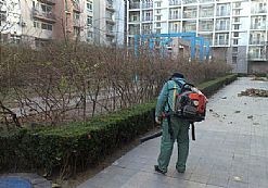 �T���F�����I5