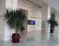 �Ѿ���ǻ�����[