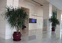 �Ѿ���ǻ�����[