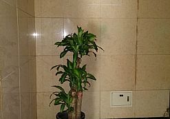 �r(sh��)��֮����Է������[