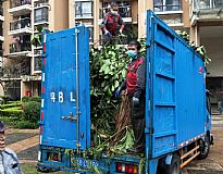 �G�������b܇���I(y��)