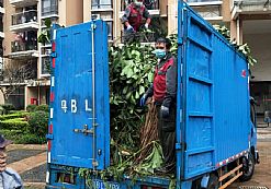 �G�������b܇���I