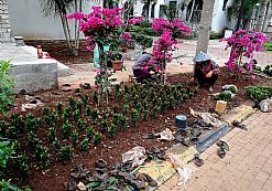 �G���B�o�a�N���I